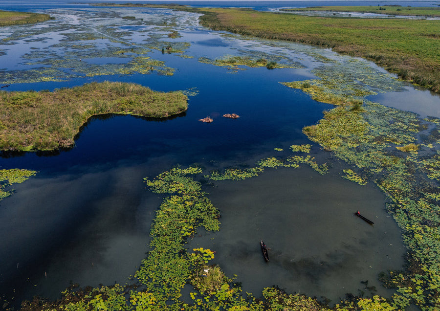 From Upemba to the World: Wetlands, the Congo Basin, and the Lufira Ramsar Site