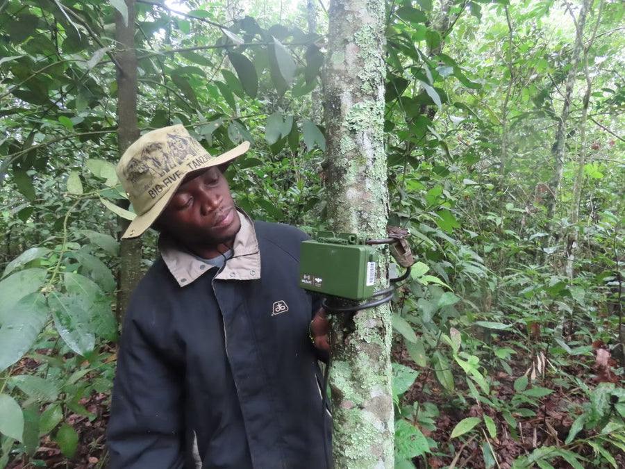 Upemba National Park Strengthens Wildlife Research with New Acoustic Monitoring Equipment